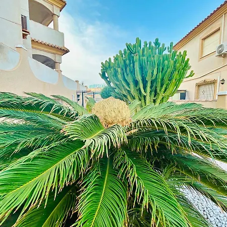 Casa Solena, La Zenia